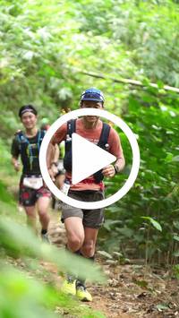 BIB:  <button type="button" onclick="openModal(26821774)" class="btn btn-primary btn-sm float-right" data-toggle="modal" data-target=".modal-high-quality">
                <i class="fa fa-download"></i> Download
                </button>